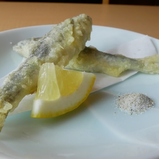 初夏の新緑が目に鮮やかな季節になりましたね🌳季節の…